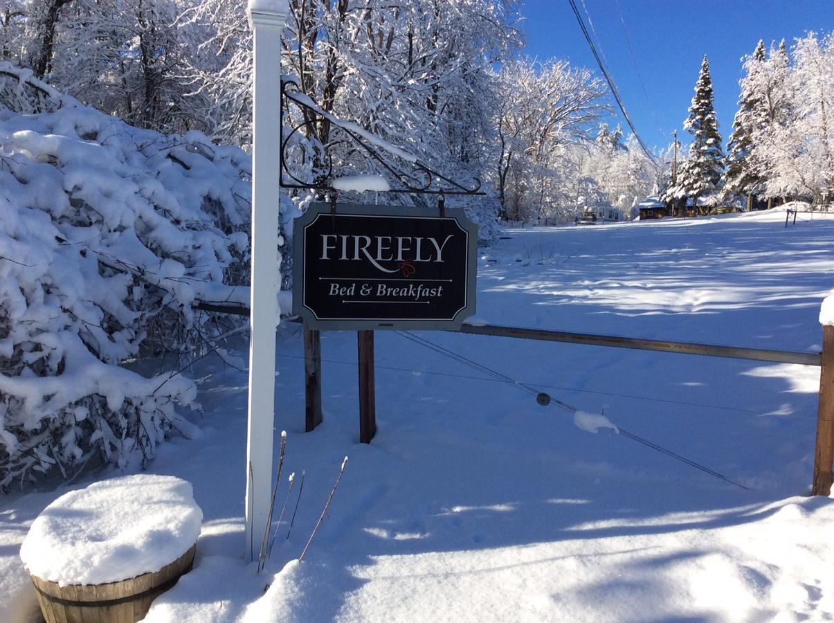 Firefly Bed & Breakfast Lincoln Екстер'єр фото
