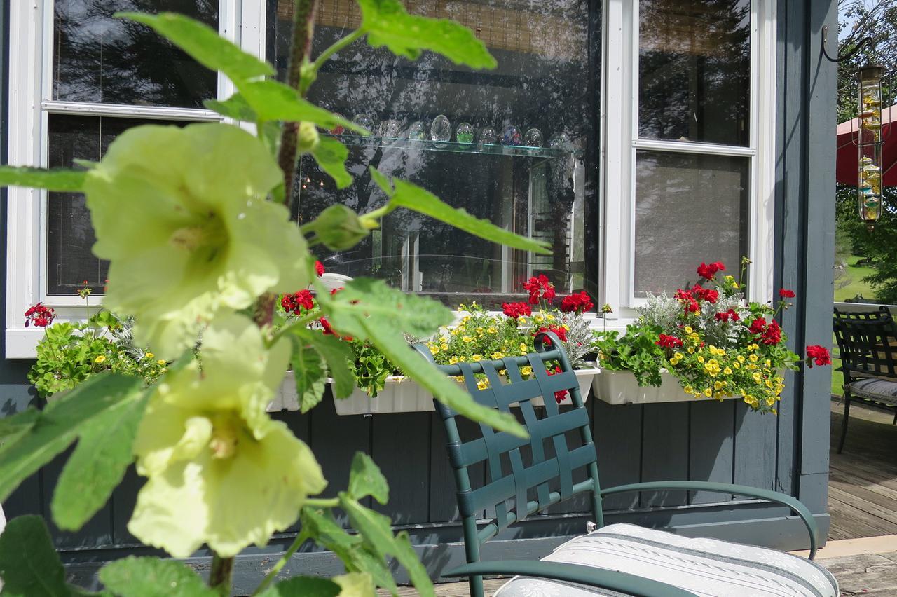 Firefly Bed & Breakfast Lincoln Екстер'єр фото
