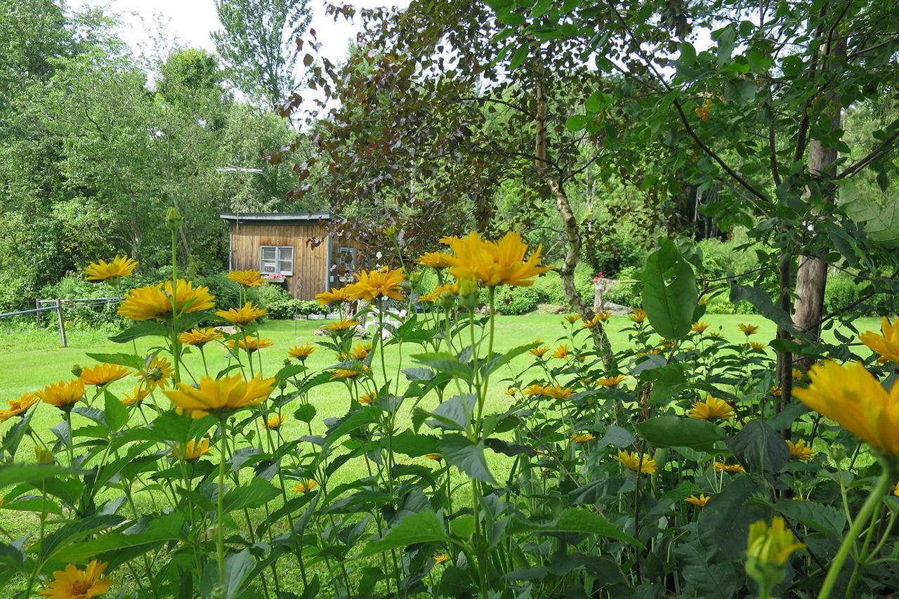 Firefly Bed & Breakfast Lincoln Екстер'єр фото