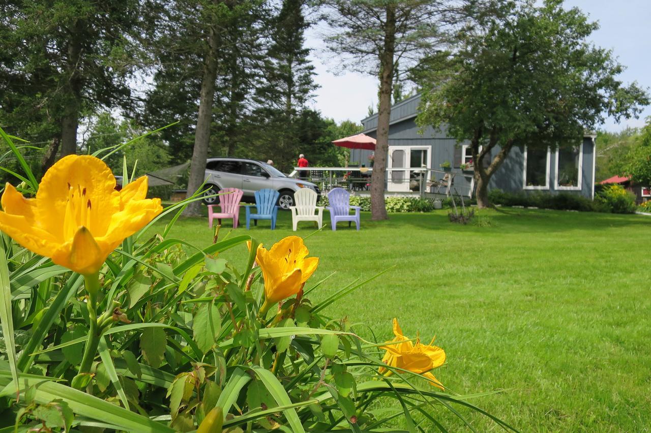 Firefly Bed & Breakfast Lincoln Екстер'єр фото