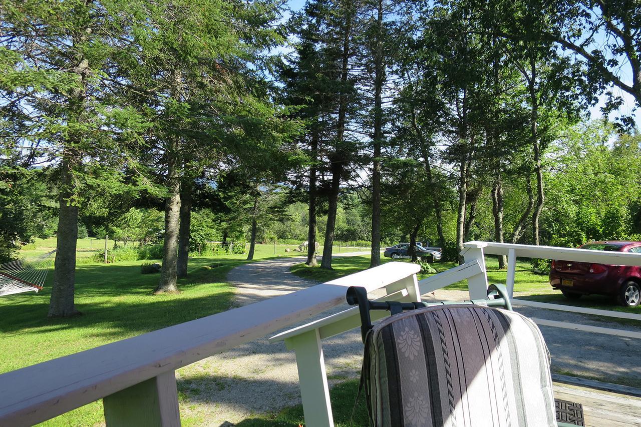 Firefly Bed & Breakfast Lincoln Екстер'єр фото