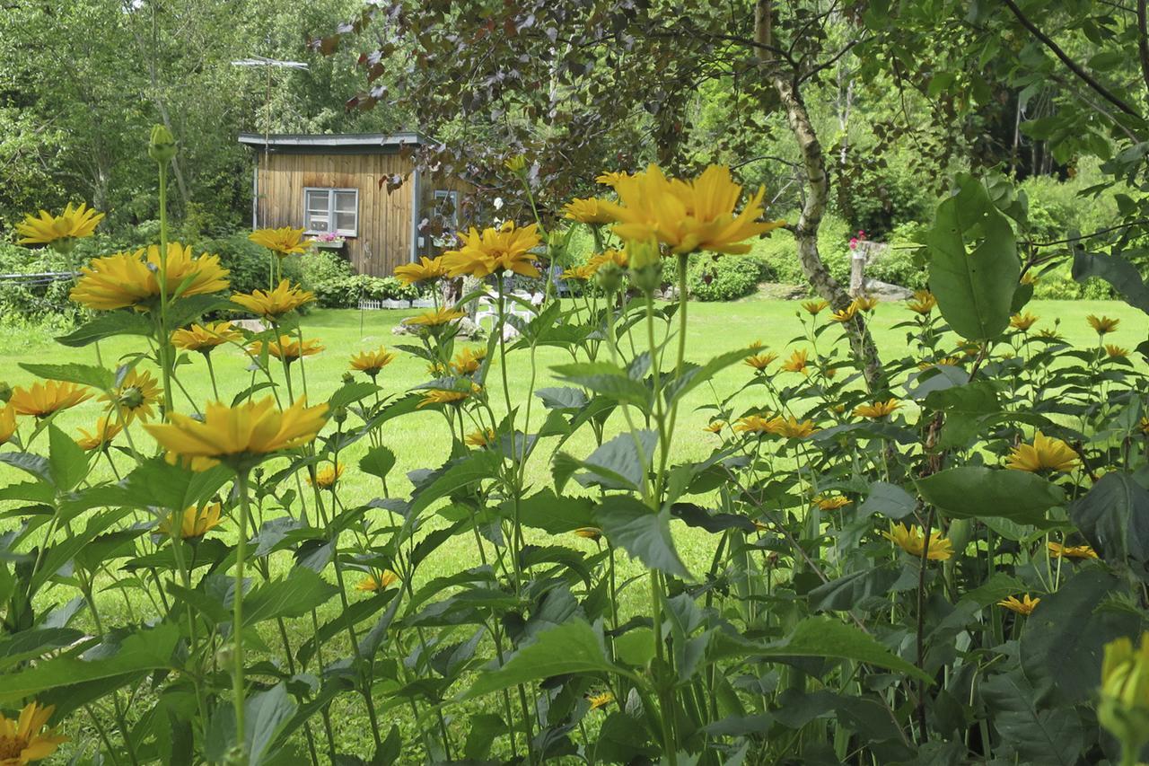 Firefly Bed & Breakfast Lincoln Екстер'єр фото